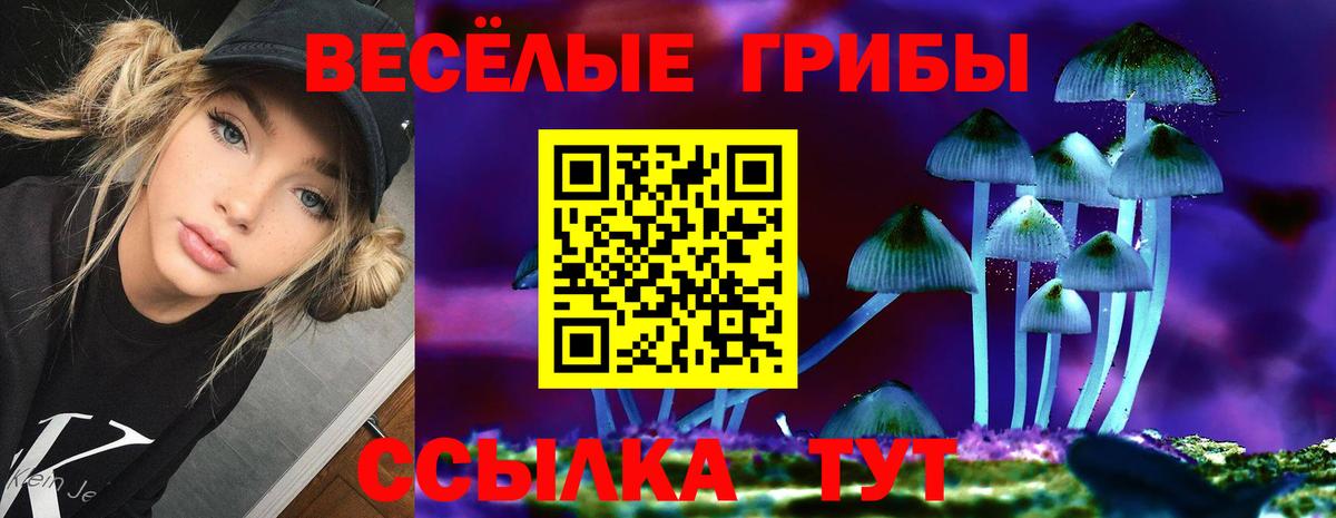 Магадан  Галлюциногенные грибы Psilocybine cubensis  Вход с VPN 
