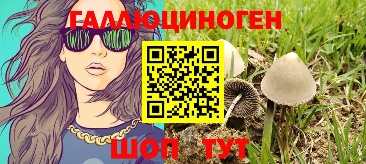 Псилоцибиновые грибы мухоморы Магадан